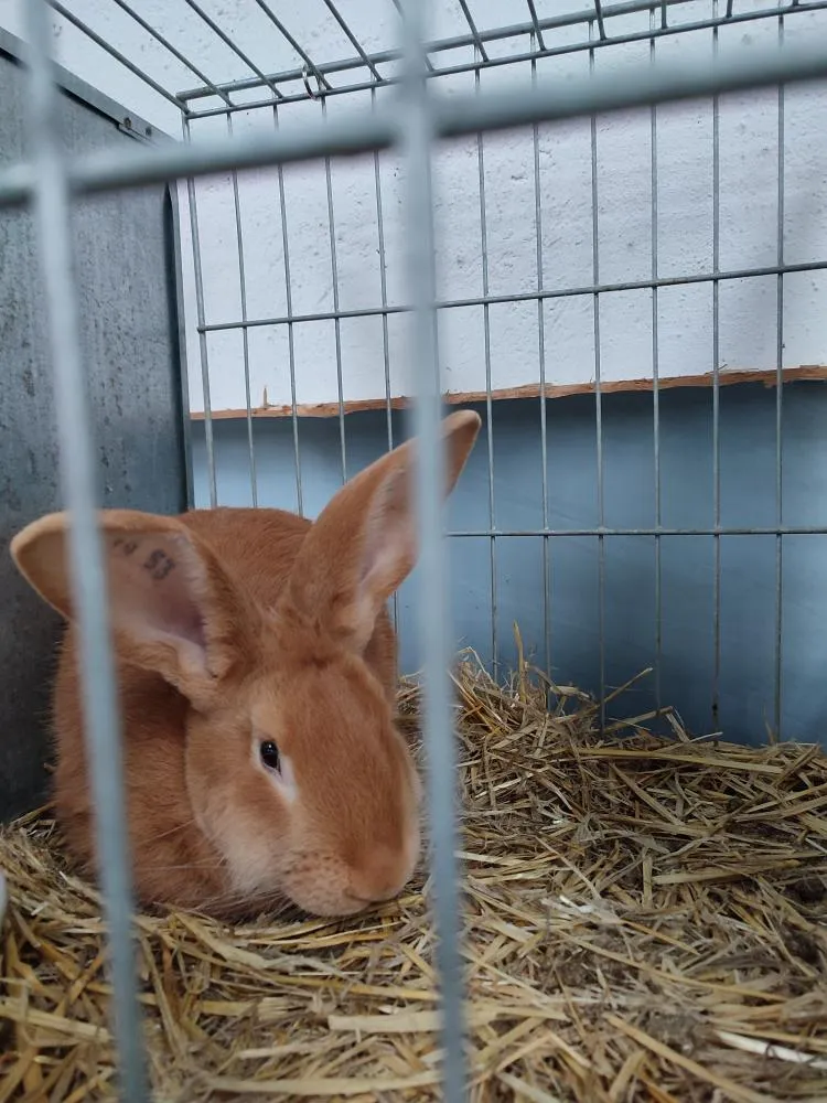 v_rij_24 (30).webp